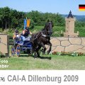 CAI A Dillenburg Marathon EMOTION Picture